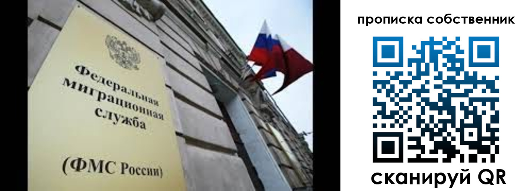 прописка гарантия в Александрове